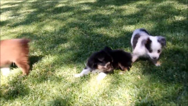 Lulu's 2017 смотреть онлайн