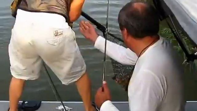 Рыбалка в Астрахани. Рыболовная база в Астрахани, в дельте Волги. смотреть онлайн