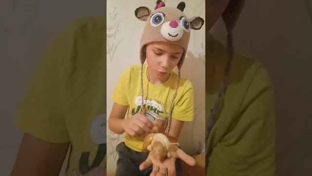 супер улитки.mp4 смотреть онлайн