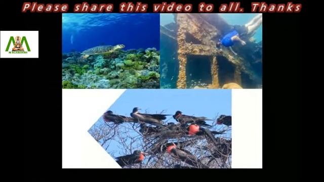 The Dry Tortugas National Park an interesting tourist location смотреть онлайн