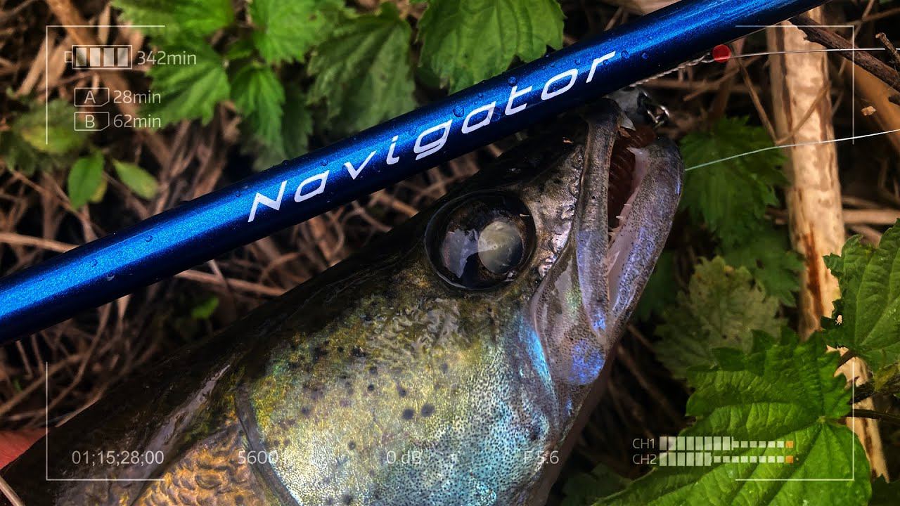 Лёгкий джиг на реке. Зимой и летом одним цветом смотреть онлайн