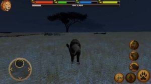 СИМУЛЯТОР ДИКОЙ КОШКИ #26 Новый СИМ ЛЬВА ! Кид стал львом #ПУРУМЧАТА