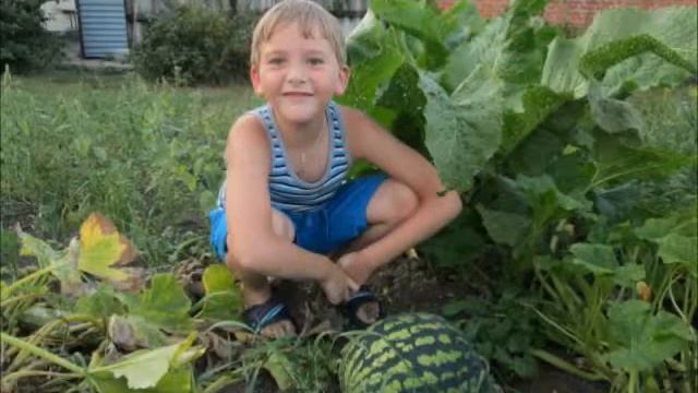 НИКИТА смотреть онлайн