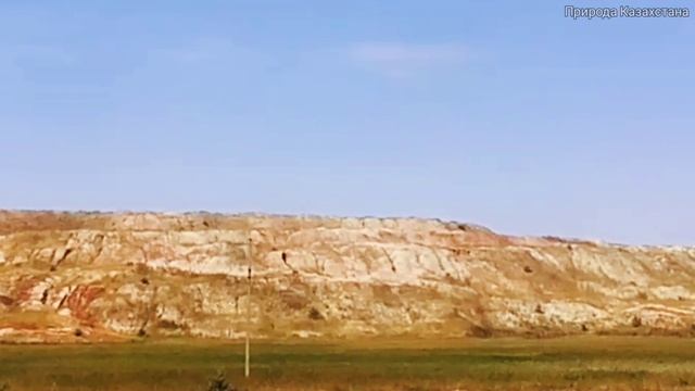 Природа Казахстана/Кустанай/Kostanay/KAZAKHSTAN/ природа родного края/ смотреть онлайн