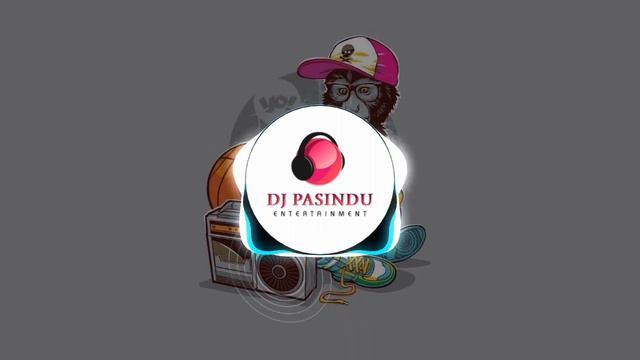 Sandamali Punjab Style ( Remix ) | New Rap Remix | DJ Pasindu Entertainment смотреть онлайн