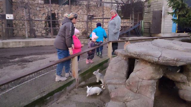 5 января 2024 г.(1) смотреть онлайн