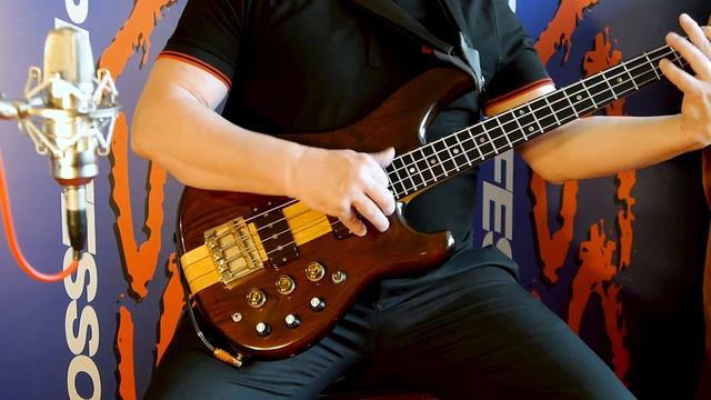 IBANEZ MC-924DS - BASS MUSEUM # 1