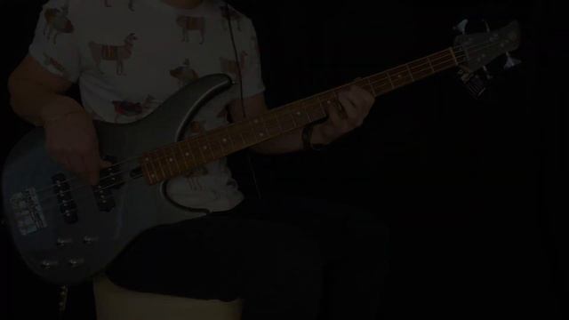 Yamaha Bass TRBX Series Demonstration - TRBX 204, TRBX304, TRBX504, TRBX 505 || With Igor Odaryuk