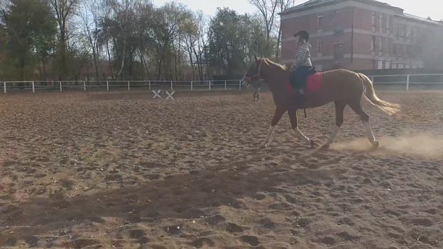 Пол дня скакала, а ей все мало смотреть онлайн