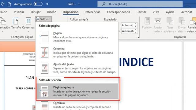 ENUMERAR PAGINAS EN WORD DESDE CUALQUIER PAGINA | 2024 смотреть онлайн