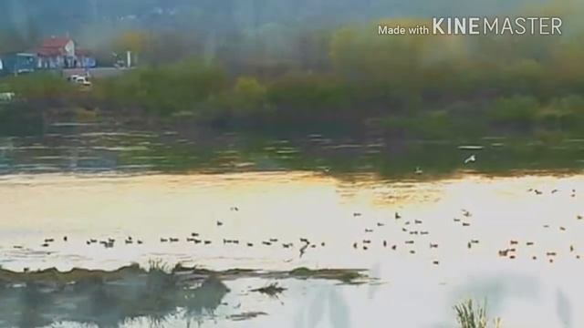 Очень мощное очищение от порч и сущностей и возврат заказчикам колдовства весь негативе смотреть онлайн