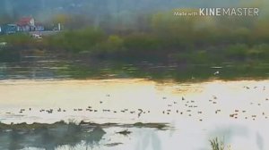 Очень мощное очищение от порч и сущностей и возврат заказчикам колдовства весь негативе