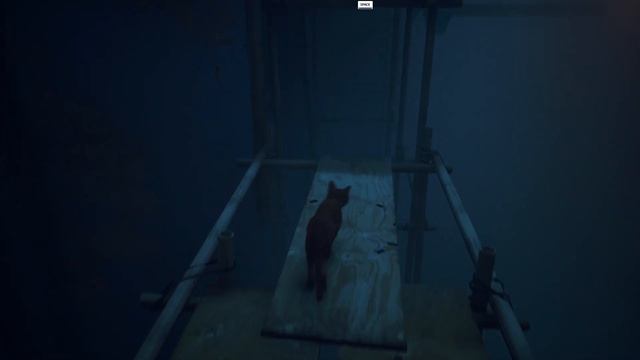 STRAY - ПРОВАЛ? Обзор игры Stray + личное мнение! смотреть онлайн