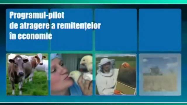 PARE - Programul pilot de atragere a remitentelor in economie смотреть онлайн