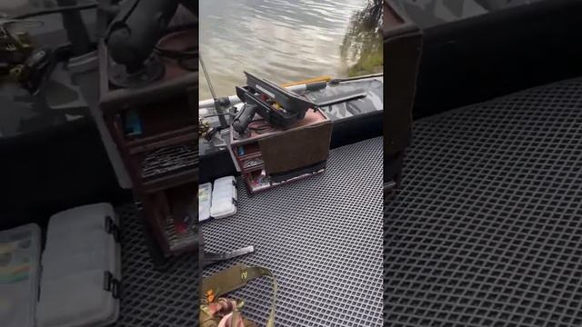 Тюнинг пвх лодки. Адмирал 330нднд + Mercury 9.9light смотреть онлайн