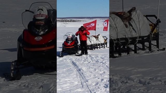 video 7_frontier_1000_kamca.movie.mp4 смотреть онлайн