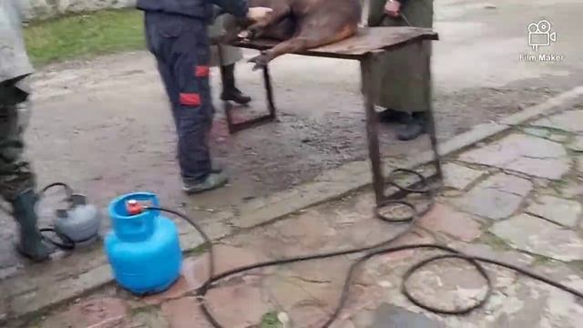 Коледа на село! Прасета 2020 смотреть онлайн