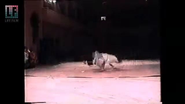 b boy Sedoy 2000 смотреть онлайн