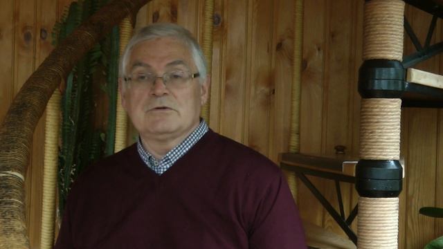 Как избавиться от шаблонов мышления. смотреть онлайн