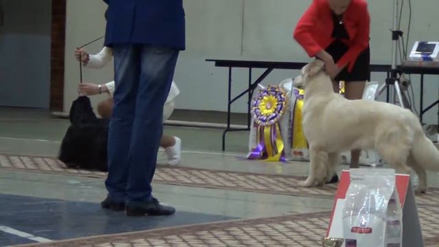 00029 '' Уральские звезды'' 18.06.2017 Екатеринбург-БЭСТ-8 группа смотреть онлайн