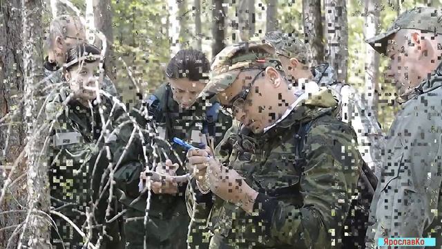 Коллективная тренировка по таксации лесов смотреть онлайн