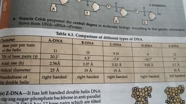 Types of DNA(A, B, C, D, Z) Tropic and Genetic DNA Of ciliates #typesofdna #dna #molecularbasis смотреть онлайн