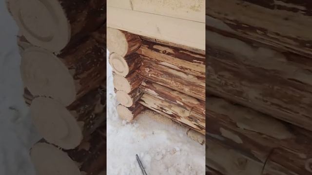 Будка для собаки комментирует (Президент) смотреть онлайн