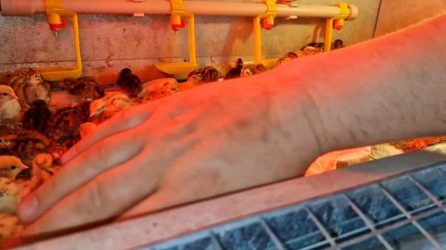 27 апреля 2023 г. смотреть онлайн