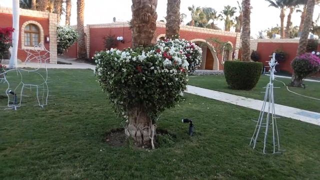 Aladdin Beach Resort 4* Хургада Обзор отеля смотреть онлайн