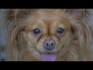 4 часа под наркозом Как прошла операция у Вени!?