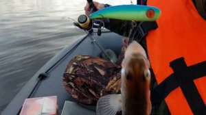 СУДАК на ВИБЫ С ЛОДКИ!