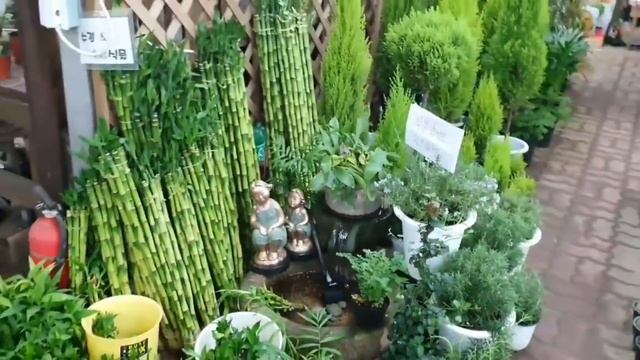 Цветочный рынок Сеула 2 часть. смотреть онлайн