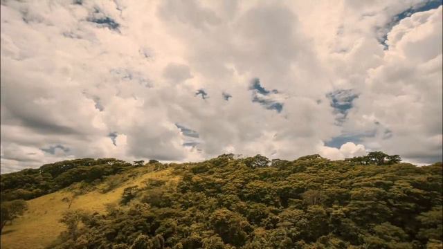 Beyond 432hz смотреть онлайн