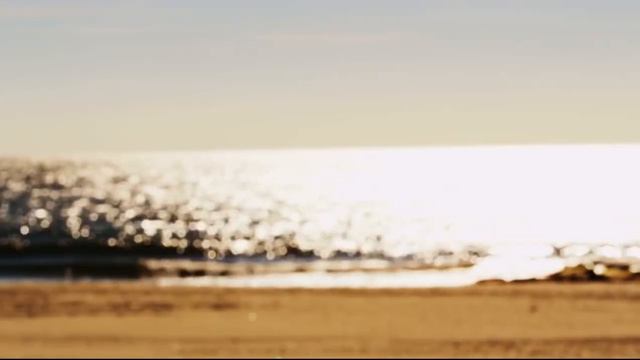 Waking at the shore (original) смотреть онлайн