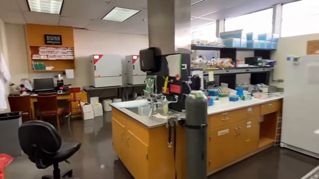 Welcome to the Croyle Lab - Texas Pharmacy смотреть онлайн