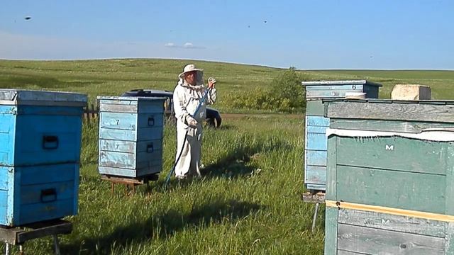 Коси коса. смотреть онлайн