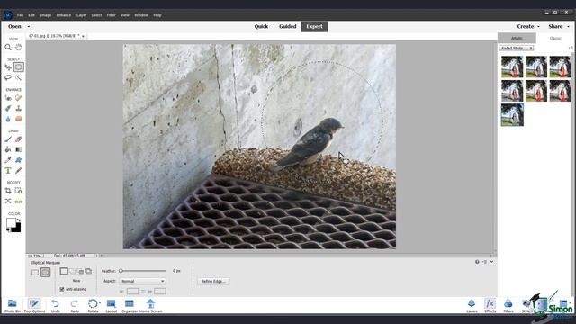 How To Use the Marquee Tool With Photoshop Elements | Photoshop 2022 Tutorial смотреть онлайн