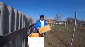 Чем хорош  улей Рута