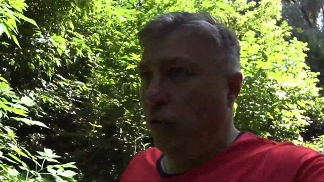 Где искать сома в жару при термоклине смотреть онлайн