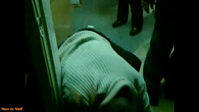 Лютой зимой нашли в снегу "Подснежник", отогрели и он "зацвёл..." смотреть онлайн
