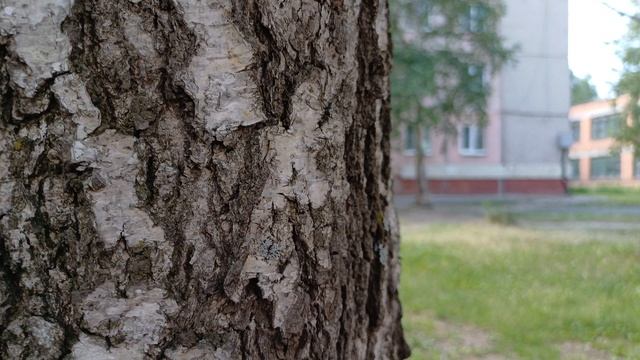 КАК СНИМАЕТ SAMSUNG GALAXY A34 - 4K 30FPS (CAMERA TEST)