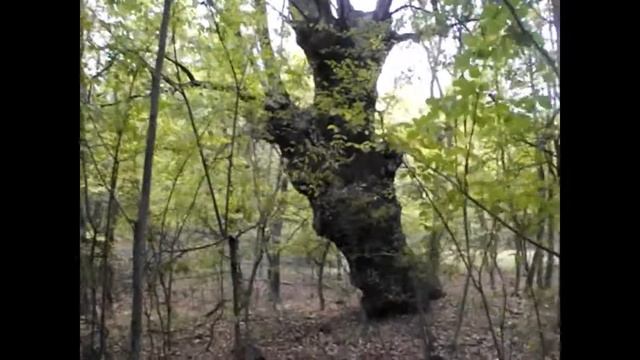Крымский одиночный поход. Часть3. Кермен - Малый Каньон смотреть онлайн