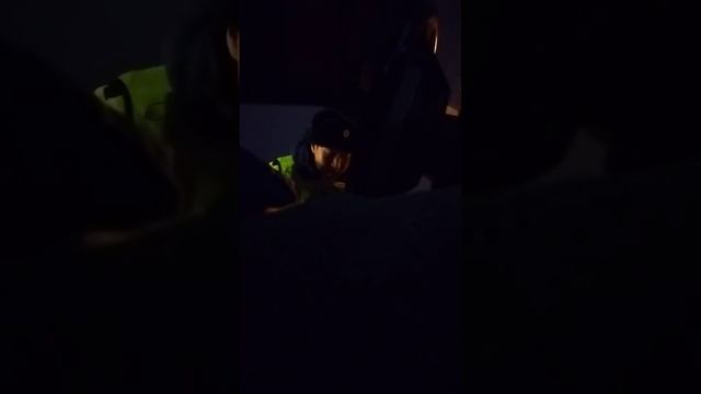 Бекешев 06.11.2022. анаконда. смотреть онлайн
