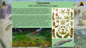 Станислав Дробышевский: «Палеонтология антрополога» (лекция и презентация книги)