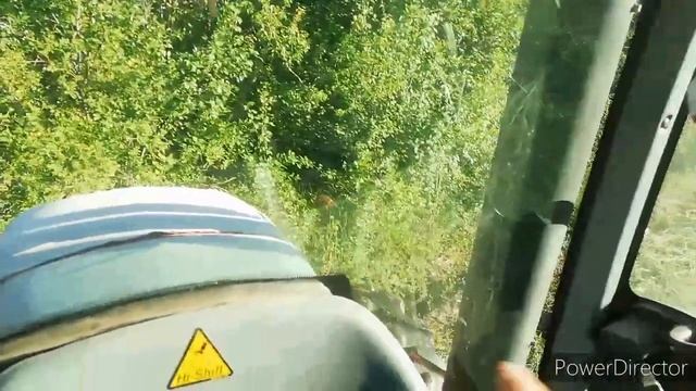 Şeytan tırmığı ile yonca toplaması nasıl yapılır смотреть онлайн