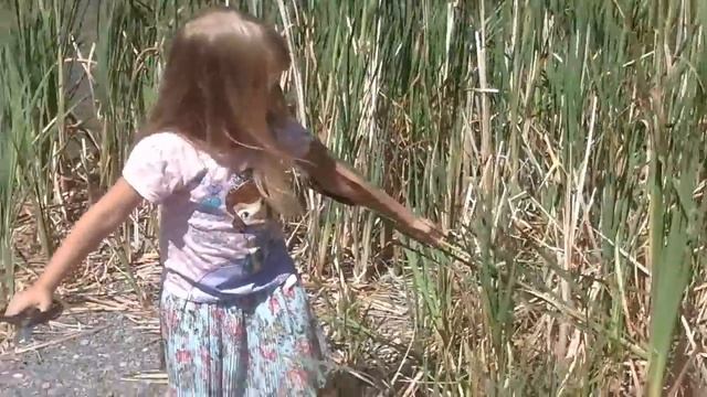 Охота за КОШАЧЬИМИ хвостиками! Cattails hunting! смотреть онлайн