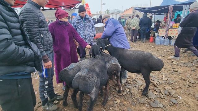 SAMARQAND PASTDARGOM JUMA QUY BOZORI