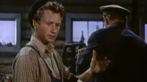 Шедевр... какие актеры... какое кино... Ссора в Лукашах ...