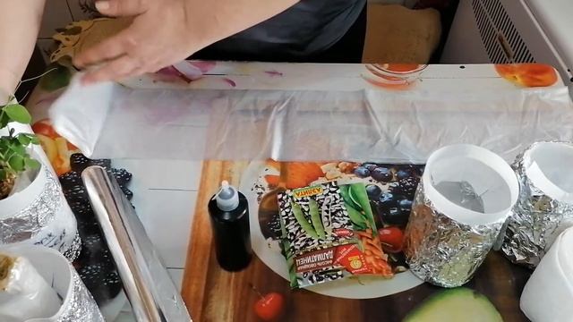 ПОСАДКА ФАСОЛИ И ГОРОХА НА РАССАДУ. БЫСТРО И ПРОСТО! смотреть онлайн