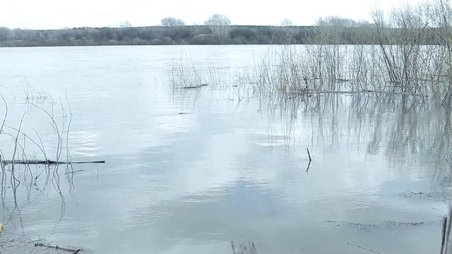 Рыбалка на Томи. 2021 в начале мая. Юрга. смотреть онлайн